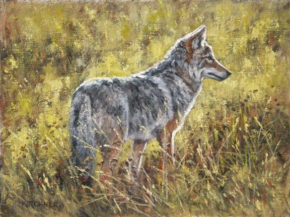 Coyote, Coyote Painting, Nature art, Nature, nature painting, western art, western paintings, western wildlife, western wildlife paintings, Yellowstone  national park coyote, teton national park coyote ,Leslie Kirchner, Leslie Kirchner art